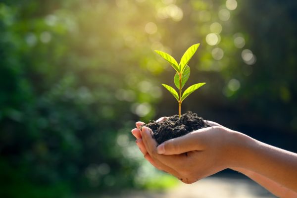 Looking for Ways to Make Your Bakery Green and More Sustainable?